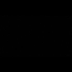 Meet your Posher, Karoline